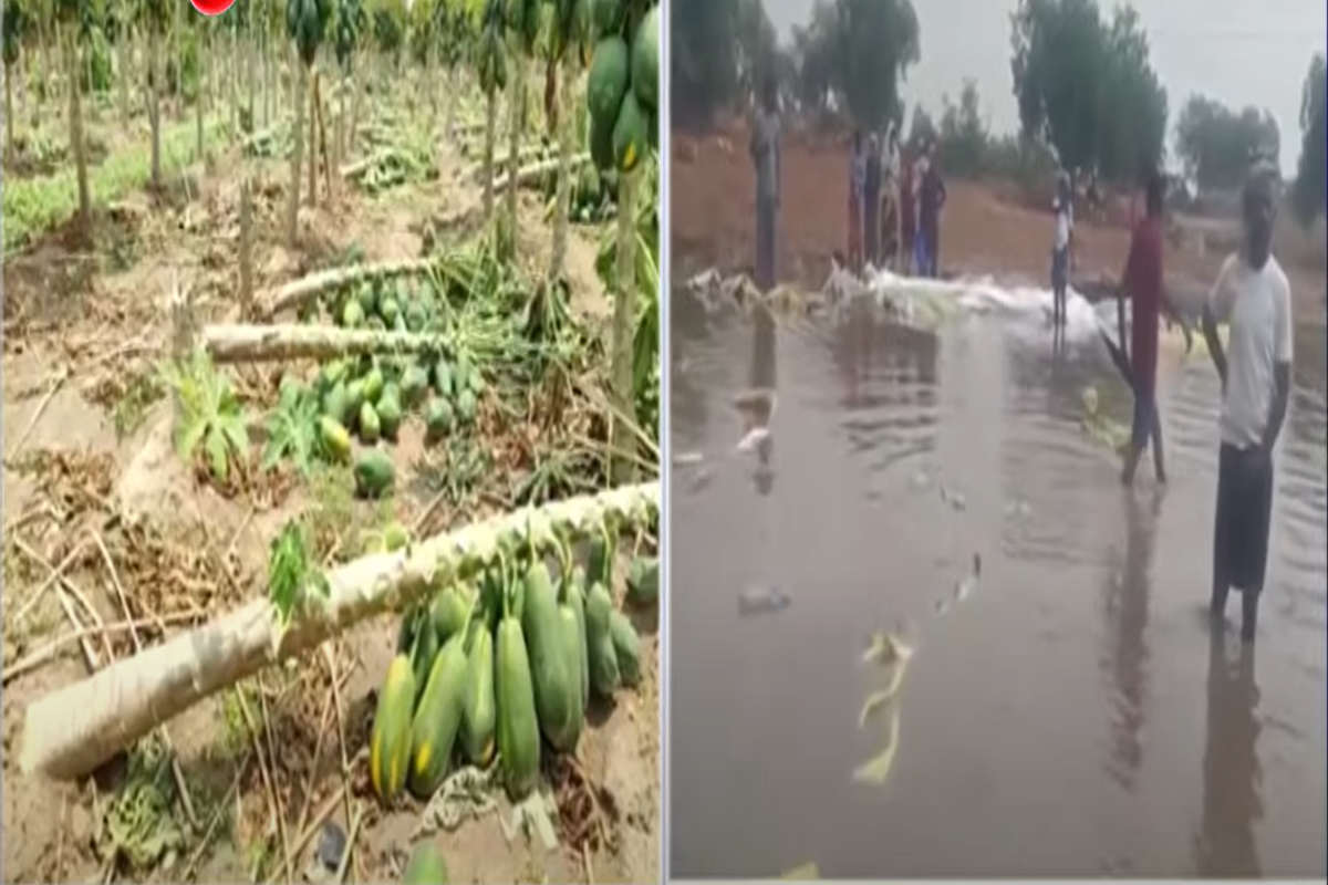 Andhra Pradesh Weather Crisis: Heavy Rains and Heatwaves Challenge Farmers